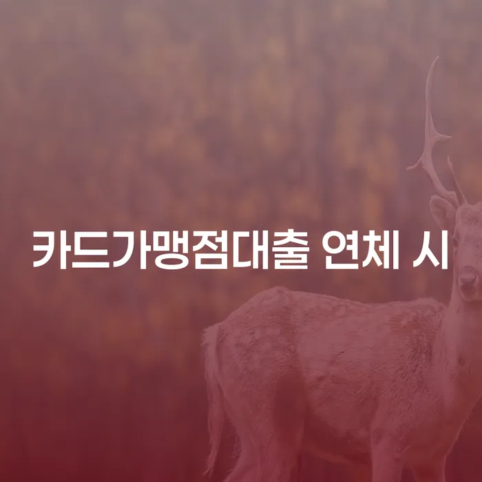 개인회생 수임료 저렴하고 대출 연체 개인회생 상담으로 확인하고