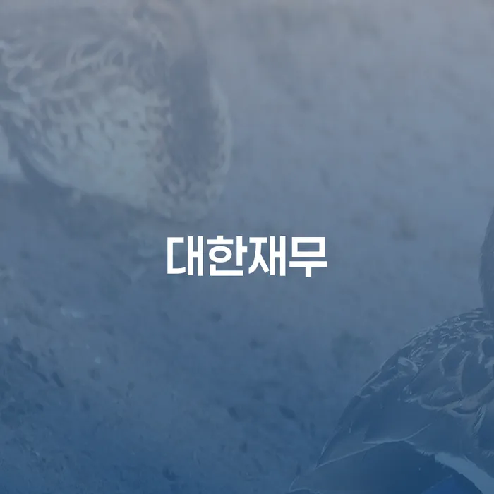 채무통합대환 연체 시 빚독촉 적정한