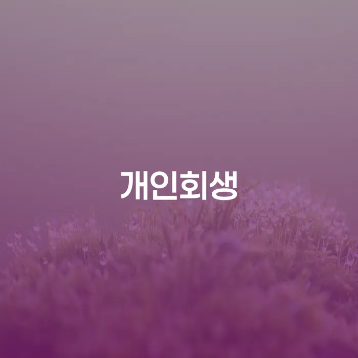 개인파산 빚갚는 방법 해결 가능합니다.