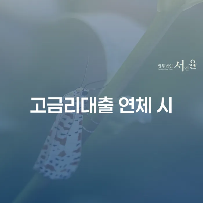 파산상담 개인파산 믿고 진행 할 수 있는