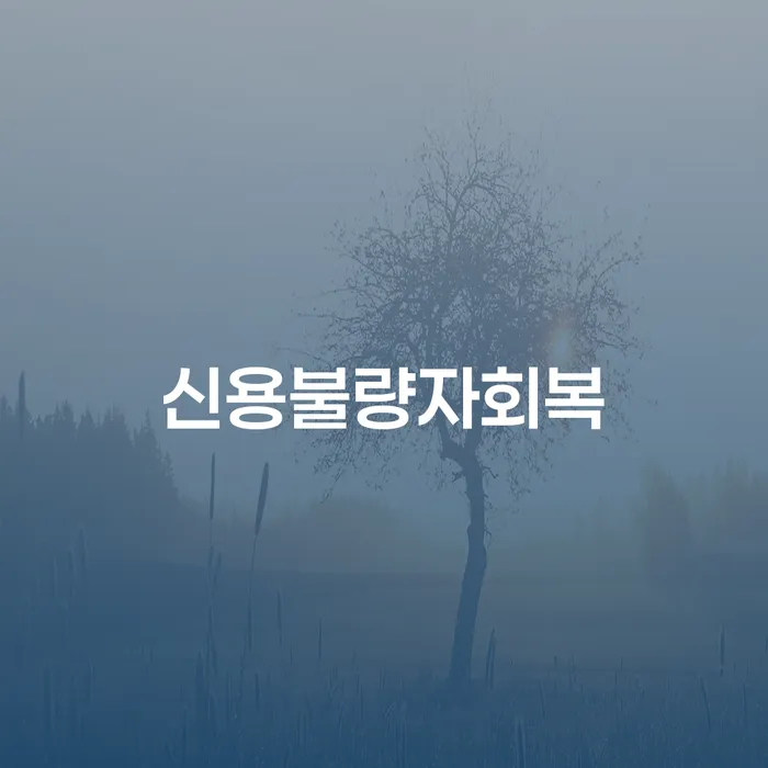 김제시 채무상담 빚 합법적인 빠른방법 비교해보기