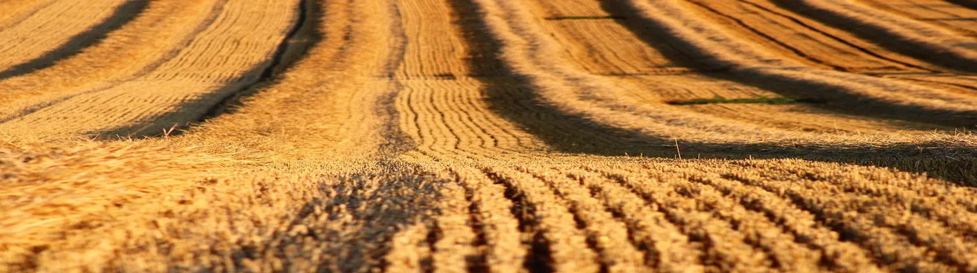 법무법인 서앤율