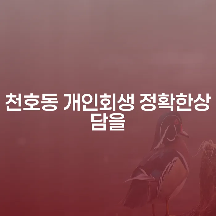 천호동 개인회생 정확한상담을
