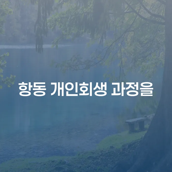 항동 개인회생 과정을