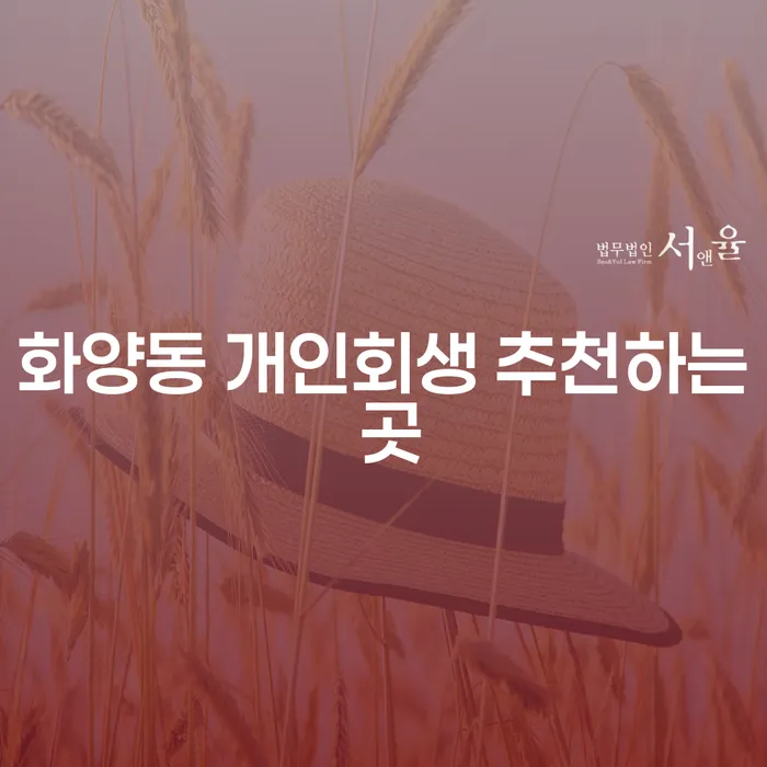 화양동 개인회생 추천하는 곳