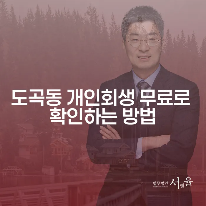 도곡동 개인회생 무료로 확인하는 방법