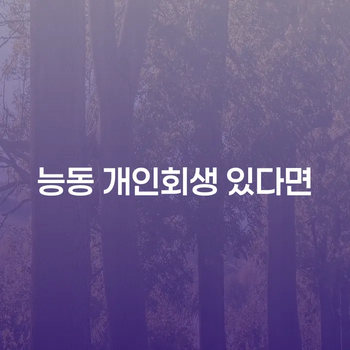 능동 개인회생 있다면