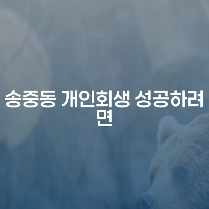 송중동 개인회생 성공하려면