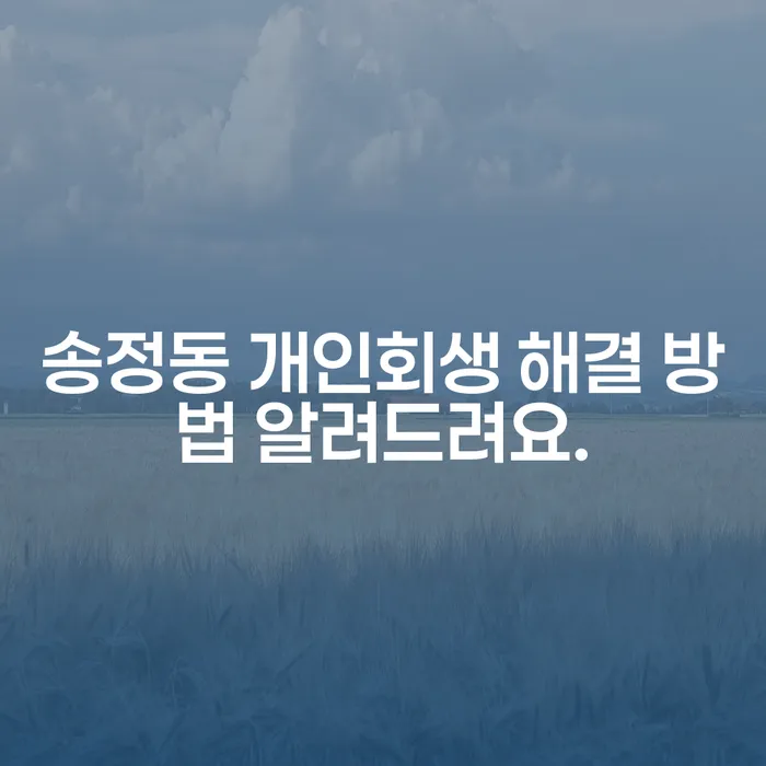 송정동 개인회생 해결 방법 알려드려요.