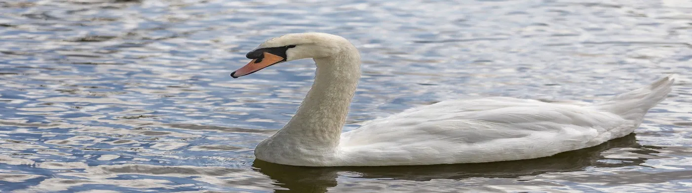 법무법인 서앤율