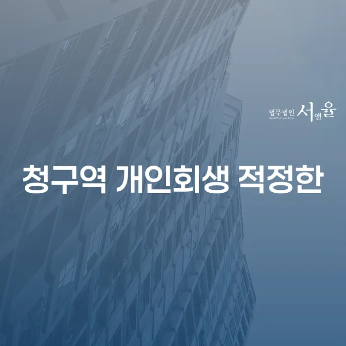 청구역 개인회생 적정한