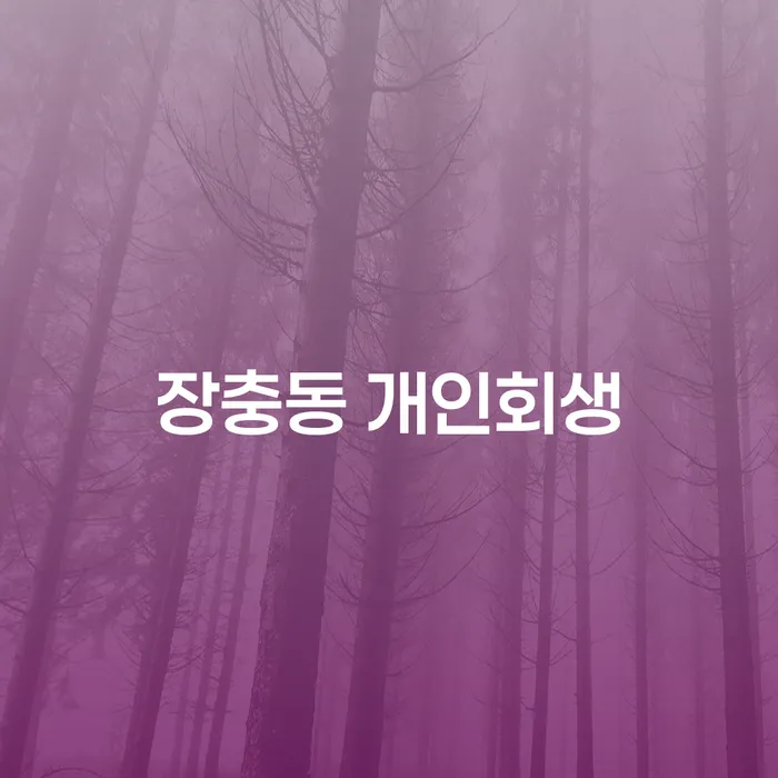 장충동 개인회생, 당신의 재정 문제 해결을 위한 최선의 방법일까요?