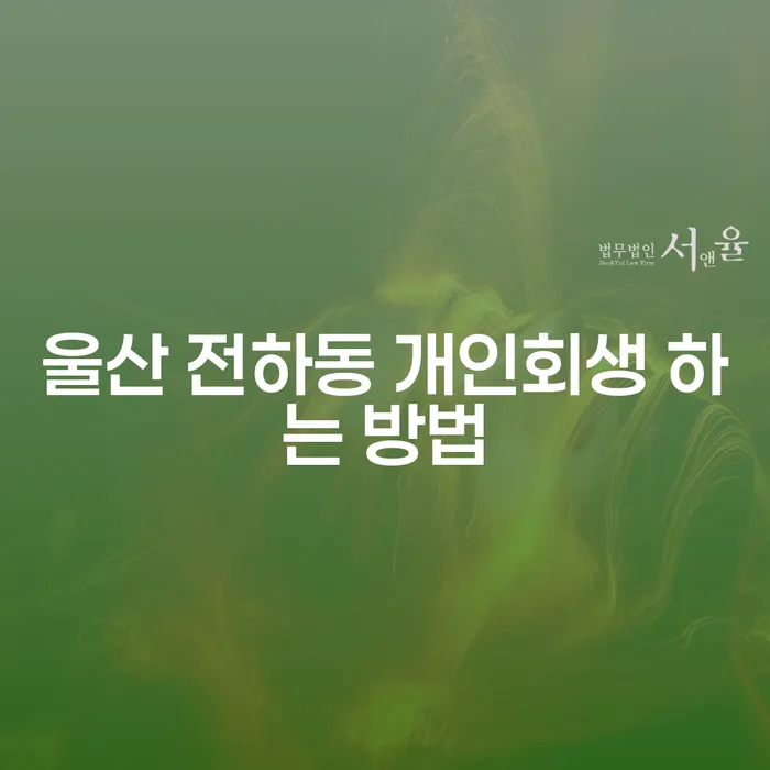 울산 전하동에서 개인회생을 어떻게 시작해야 할까요?