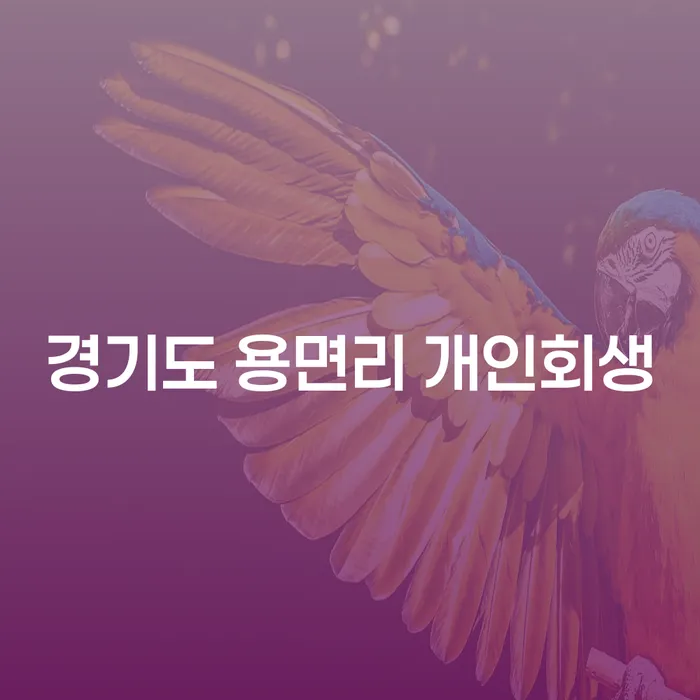 경기도 용면리에서 개인회생을 고려해 볼 때, 당신에게 필요한 정보는?